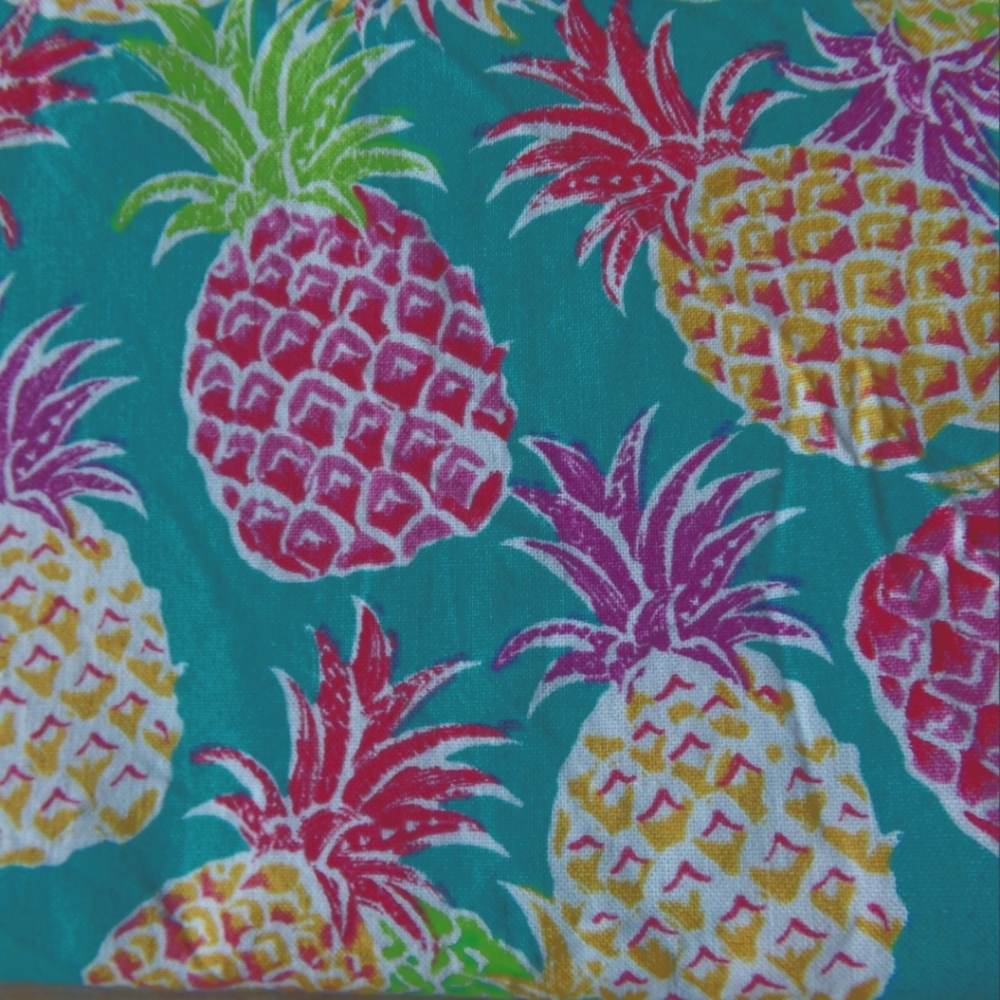 Colorful Pineapples - Picture 3 of 4
